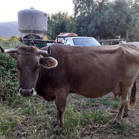 קאלה גונונה Agriturismo Codula Fuili מראה חיצוני תמונה