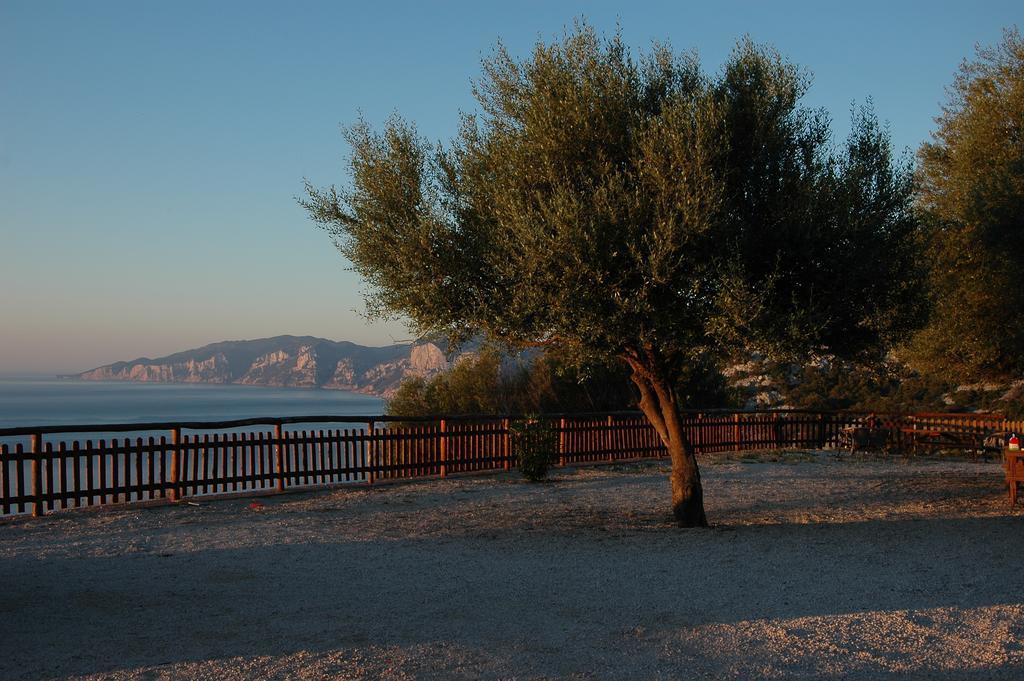 הוילה קאלה גונונה Agriturismo Codula Fuili מראה חיצוני תמונה