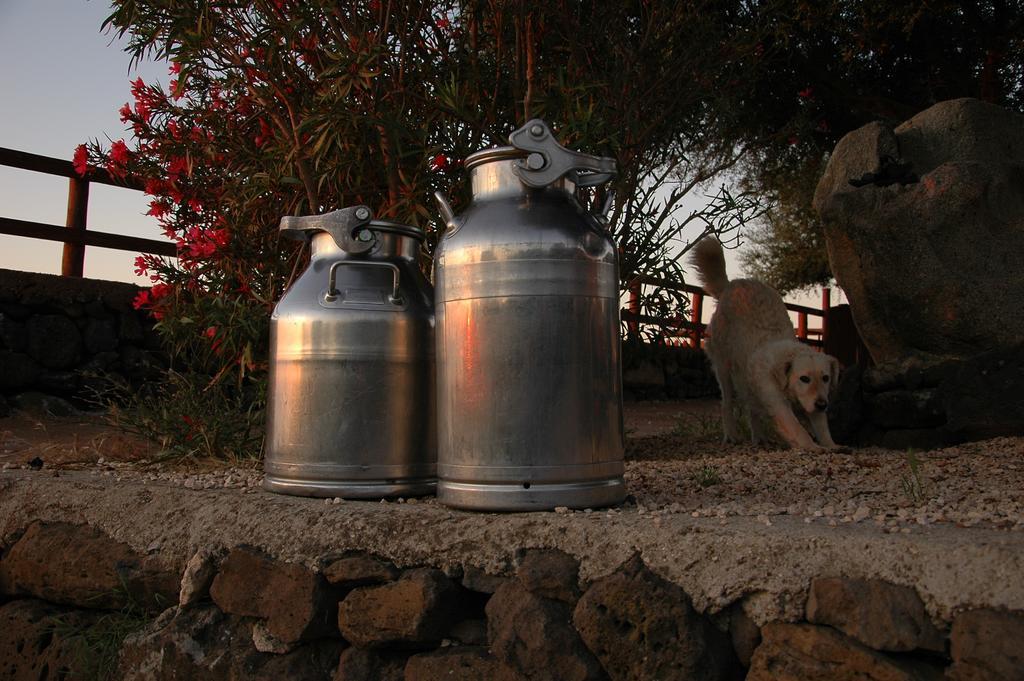 הוילה קאלה גונונה Agriturismo Codula Fuili מראה חיצוני תמונה