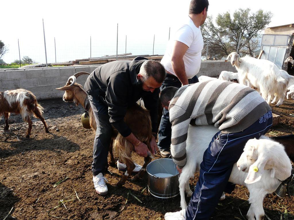 הוילה קאלה גונונה Agriturismo Codula Fuili מראה חיצוני תמונה