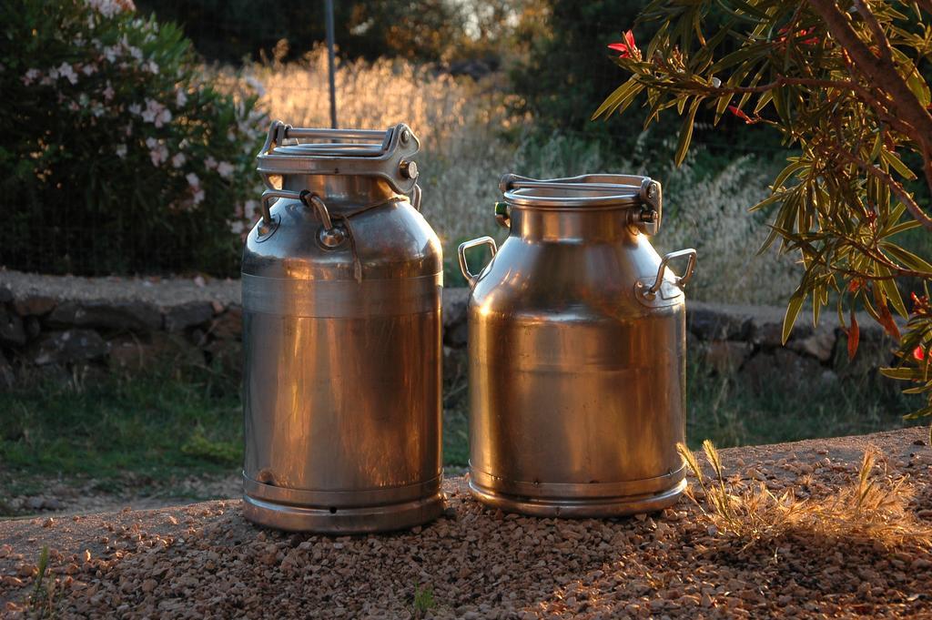 הוילה קאלה גונונה Agriturismo Codula Fuili מראה חיצוני תמונה