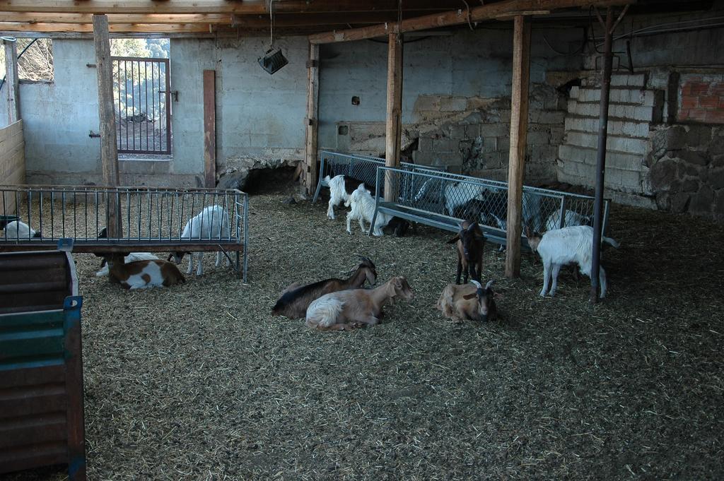 הוילה קאלה גונונה Agriturismo Codula Fuili מראה חיצוני תמונה