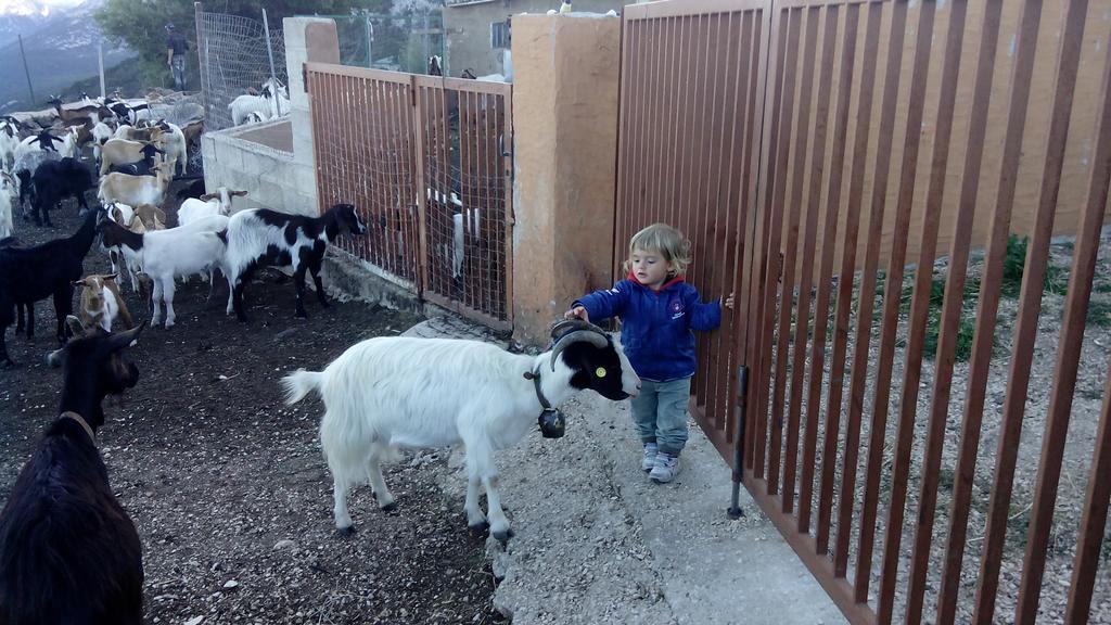 הוילה קאלה גונונה Agriturismo Codula Fuili מראה חיצוני תמונה