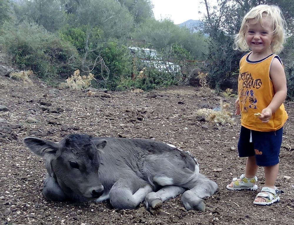 הוילה קאלה גונונה Agriturismo Codula Fuili מראה חיצוני תמונה