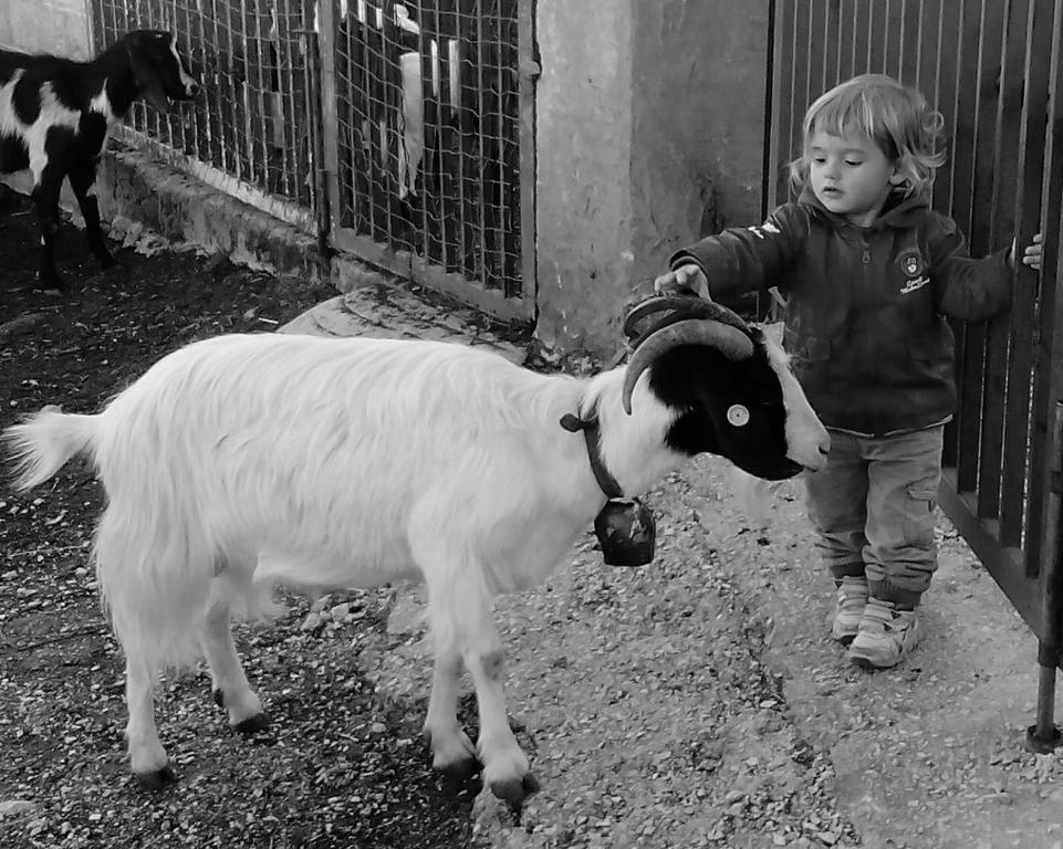 הוילה קאלה גונונה Agriturismo Codula Fuili מראה חיצוני תמונה